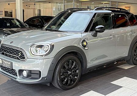 Mini Cooper S Countryman Cooper SE Countryman Countryman Cooper SE All4*Pano*HuD*Kamera*