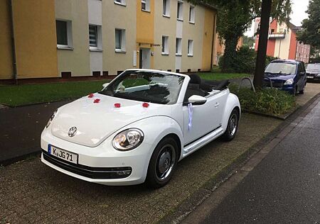 VW Beetle Volkswagen The Cabriolet 1.2 TSI CUP