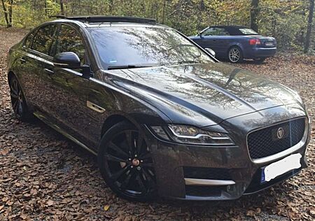 Jaguar XF Diesel 30d Aut. R-Sport Limousine