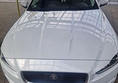 Jaguar XE 20d AWD Aut. Pure