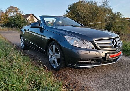 Mercedes-Benz E 250 Cabrio Leder,Navi,18",PDC,Xenon,Service