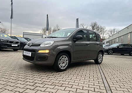 Fiat New Panda Easy 1.2 8V *Klimaanlage PDC DAB+*