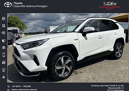 Toyota RAV 4 Plug-in-Hybrid Technik-Paket