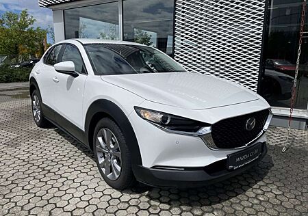 Mazda CX-30 Selection Benziner LED-Licht Navi Kamera Head-Up