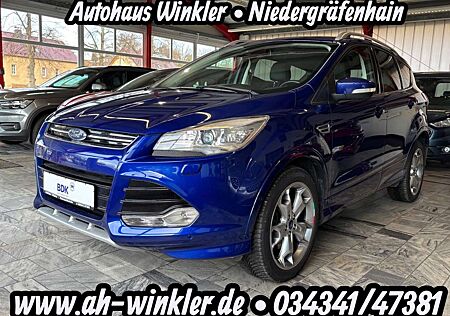 Ford Kuga Individual 2.0 Kamera Navi DAB+ 4x4 Leder
