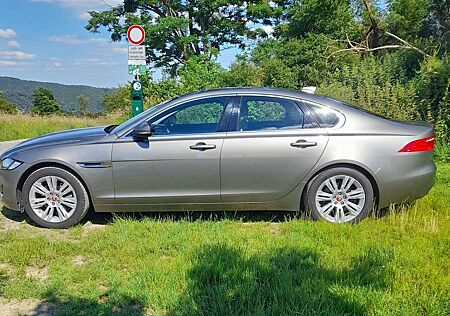 Jaguar XF 20t Pure