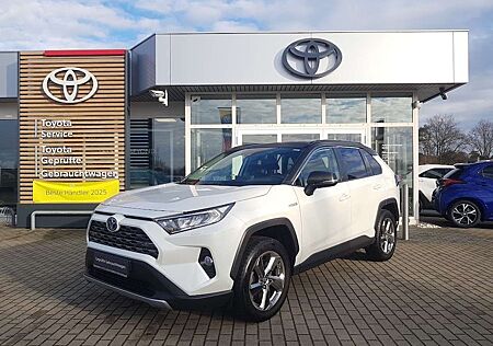 Toyota RAV 4 Hybrid 4x2 - Team Deutschland -