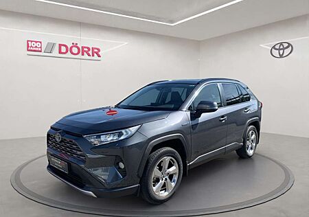 Toyota RAV 4 2.5 4x4 Hybrid Team Deutschland Navi/AHK/Technik