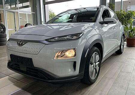 Hyundai Kona Advantage KRELL ACC Navi R.Cam PDC SHZ DAB+