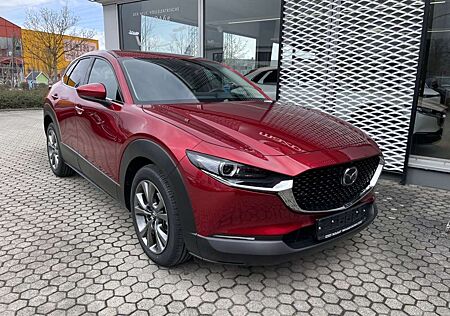 Mazda CX-30 Selection Benziner Matrix-LED ACC 360-Grad Bose