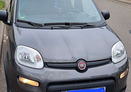 Fiat Panda 1.2 8V LPG City Life