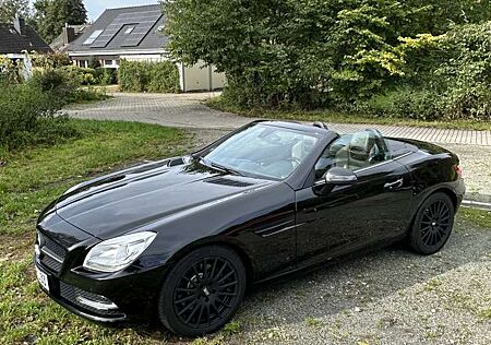 Mercedes-Benz SLK 250 CDI (BlueEFFICIENCY) 7G-TRONIC
