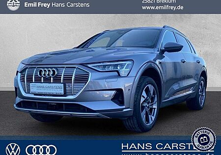 Audi e-tron advanced 55 quattro Leder Navi Rückfahrka