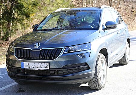 Skoda Karoq 2.0 TDI SCR 4x4 DSG*Kamera*AHK*ACC*NAVI