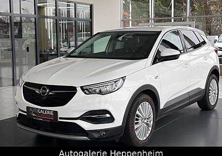 Opel Grandland X Innovation/AUT/NAV/SHZ/L-HEIZ/R-KAM