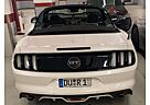 Ford Mustang GT Convertible Cabrio V8