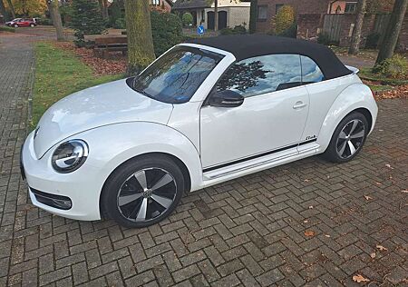 VW Beetle Volkswagen The Cabriolet 2.0 TDI Blue Motion Technolog Club