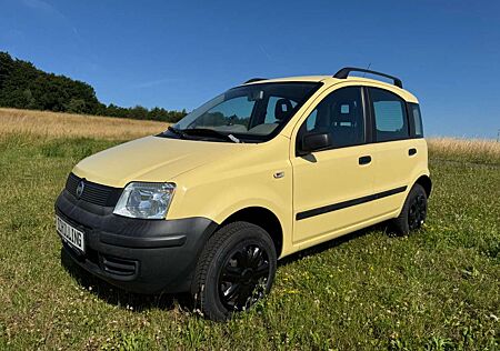 Fiat Panda 1.2 8V Trekking 4X4 ALLRAD orig. 58.400km!