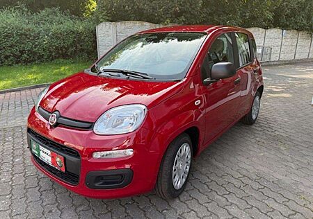 Fiat Panda 1,0 Hybrid 70 PS mit Tempomat