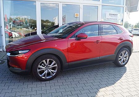 Mazda CX-30 2.0 AWD Selection AHZ/WR/Dachträger