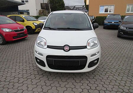 Fiat Panda 1.2 Easy *Sehr gepflegt*