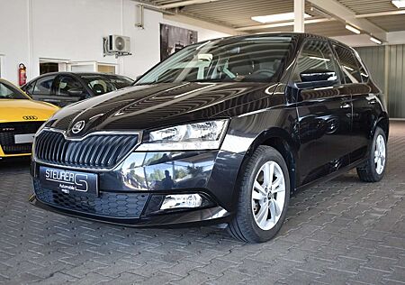 Skoda Fabia 1.0 TSI Ambition Climatronic Kamera APP