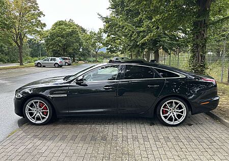 Jaguar XJ 3.0 V6 Diesel Portfolio