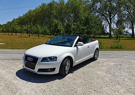 Audi A3 Cabriolet 1.8 TFSI Ambition TÜV&Service NEU