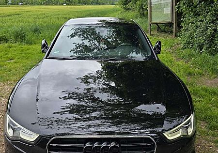 Audi A5 gebraucht kaufen Audi A5 2.0 TDI Sportback (clean die.) quat. DPF S tro.