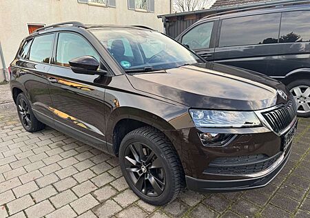 Skoda Karoq 2.0Tdi 4x4/DSG/ Panora/Standheizung