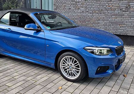 BMW 220 d M Sport Leder voll