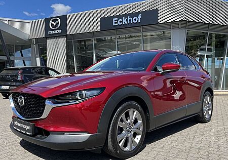 Mazda CX-30 (122 PS) ACC|360°|BOSE|NAVI|Head-Up|AHK