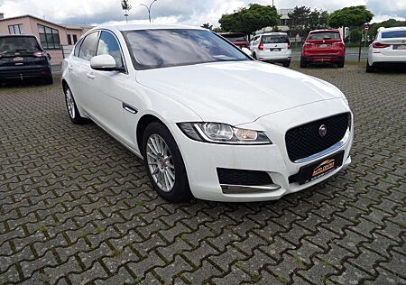 Jaguar XF Pure Automatik+Navi+Standheizung+Cam+SitzHz+1.Hand