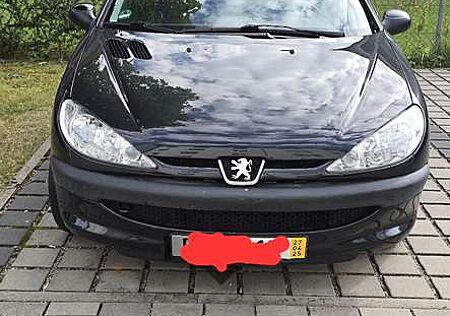 Peugeot 206 75 Grand Filou Cool