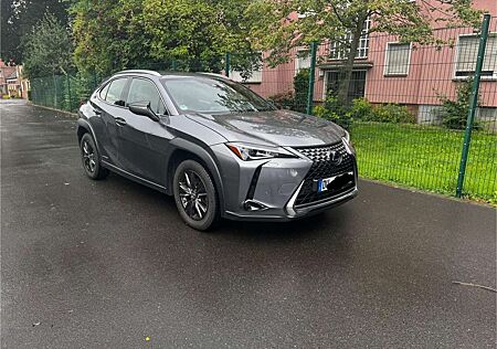 Lexus UX 250h Launch Edition
