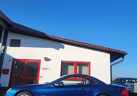 Mercedes-Benz SL 500 SL-Klasse