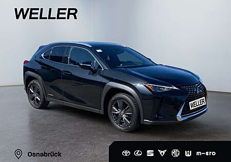 Lexus UX 250h Amazing Edition *Bi-LED*ACC*CAM*CarPlay*