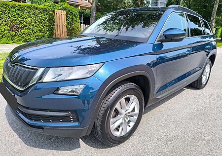 Skoda Kodiaq 2.0 TDI 4x4 DSG AHK Kamera 8x bereift