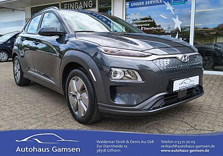 Hyundai Kona Trend Elektro ACC/Kamera/Winter