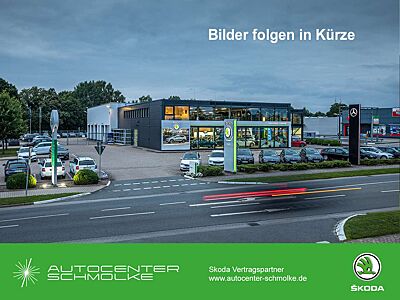 Skoda Fabia Fabia 1.0 TSI DSG Ambition*Klima*SHZ*  Autom./LED