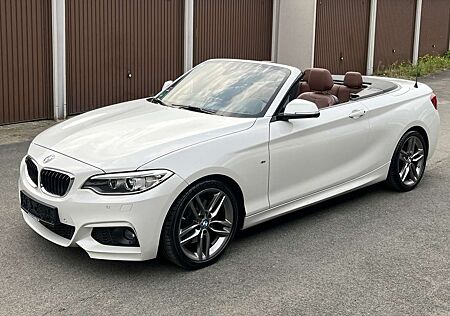 BMW 220i 220 Cabrio Sport 1.HAND AUT M SPORTPAKET 18 ZOLL