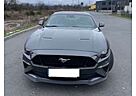 Ford Mustang Fastback Fastback 5.0 Ti-VCT V8 GT