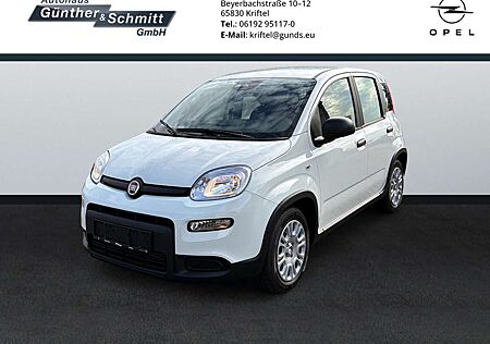Fiat Panda 1.0 Pandina