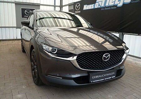 Mazda CX-30 Homura 2WD Kamera*GJR*Navi*