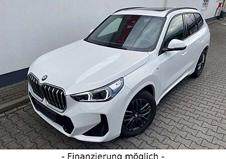 BMW X1 23 d xDrive/M Sport/PanoDach/RFK/AHK