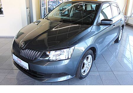 Skoda Fabia Cool Edition,Guter Zustand