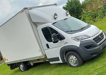 Fiat Ducato Maxi Koffer Transporter LKW bis 3.5t 6Gang
