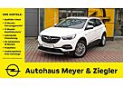 Opel Grandland X Busi. Innov. SHZ/LHZ/AHVZ/LED/KLIMA/NAVI/Park&Go