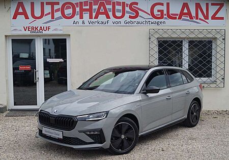 Skoda Scala Monte Carlo Panorama*Kamera