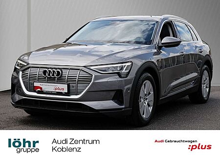 Audi e-tron 50 Navi ACC Kamera Leder PDC+